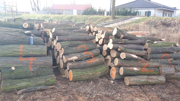Gminny Ośrodek Sportu i Rekreacji ogłasza przetarg na sprzedaż drewna